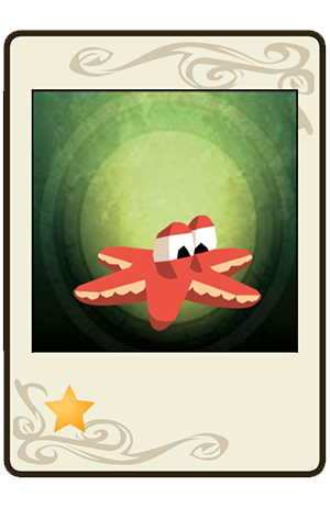 Etoile de la Mer d'Asse